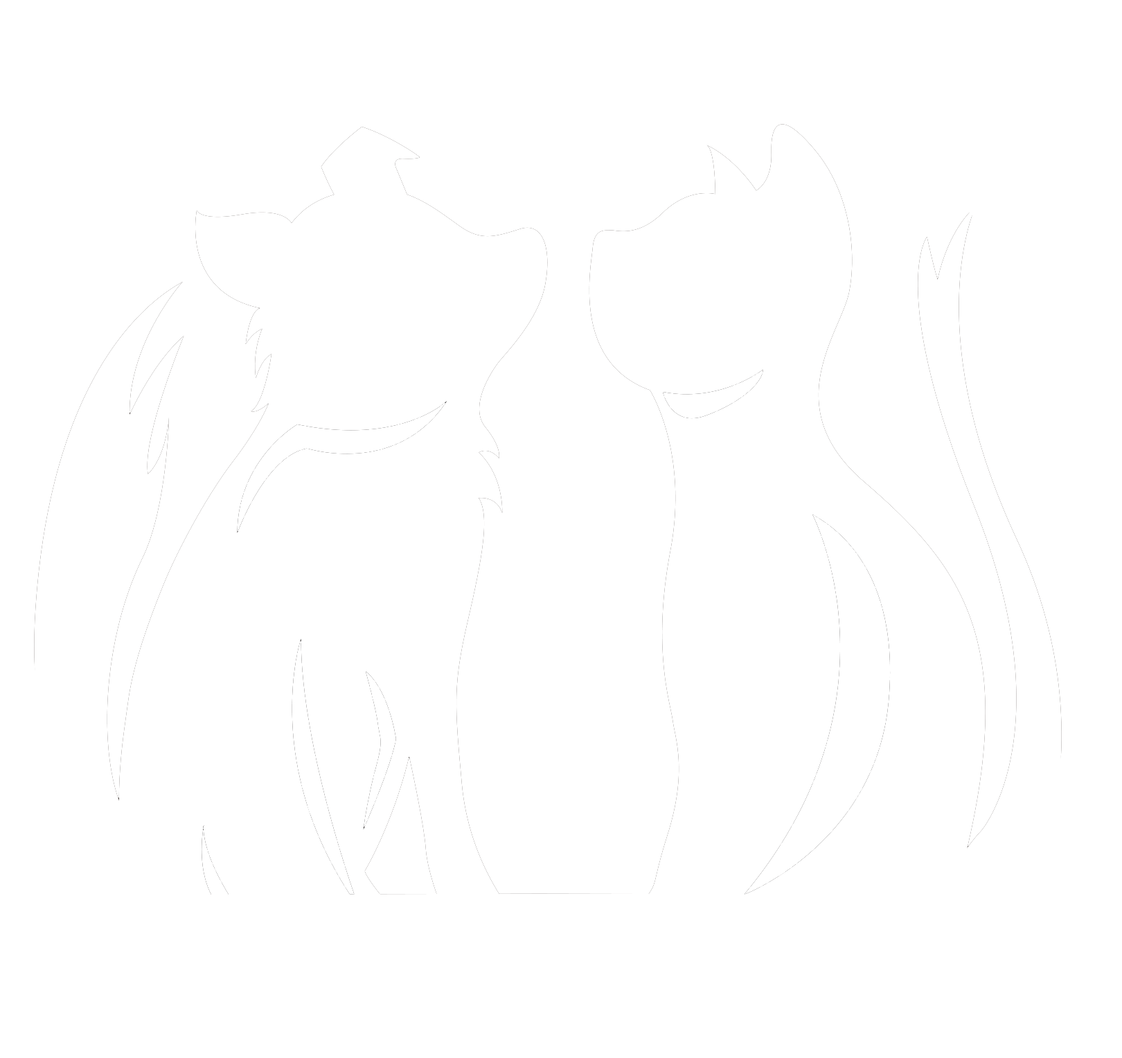 Silver Back